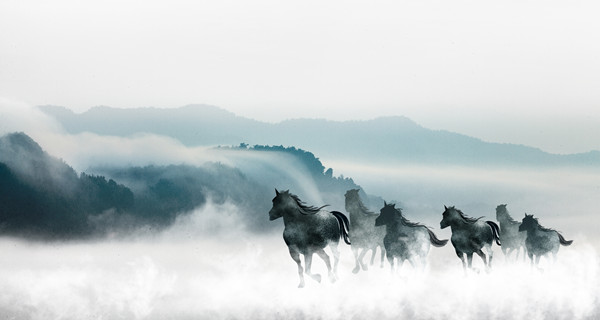 企業(yè)戰(zhàn)略規(guī)劃：為企業(yè)制定全面、長遠(yuǎn)的發(fā)展戰(zhàn)略