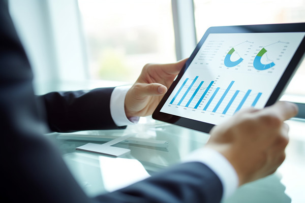 年度業(yè)務(wù)拓展計(jì)劃：多元發(fā)展，全面增長(zhǎng)