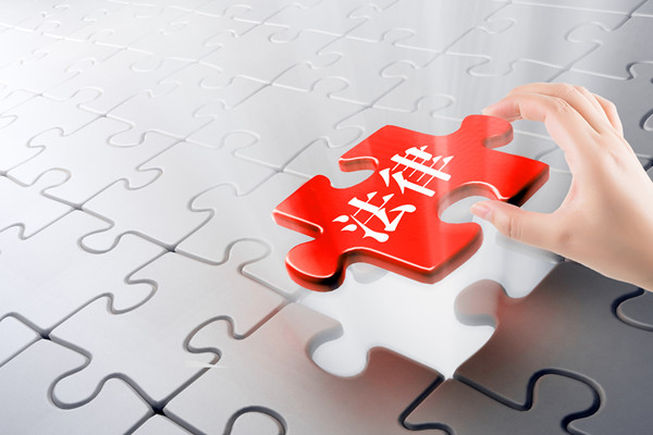 預(yù)算審計(jì)咨詢(xún)：指導(dǎo)企業(yè)開(kāi)展審計(jì)工作，確保預(yù)算合規(guī)