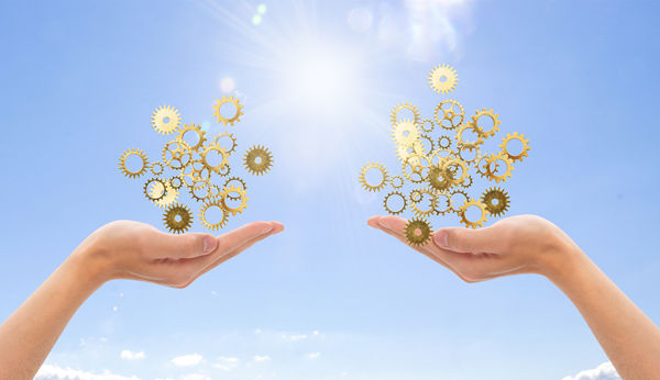 多品牌戰(zhàn)略：協(xié)同作戰(zhàn)，共創(chuàng)輝煌