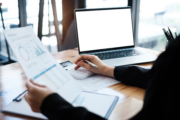 預(yù)算信息化：利用信息技術(shù)，提升預(yù)算管理效率