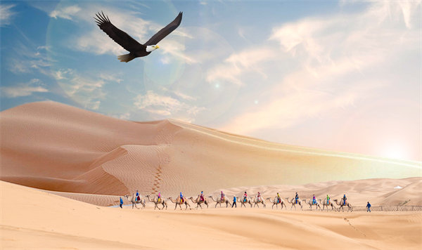 集團(tuán)管控升級迭代，激發(fā)企業(yè)活力，實現(xiàn)持續(xù)領(lǐng)先