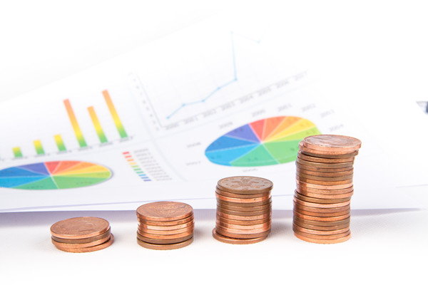 企業(yè)預算管理：一個全方位、多維度的財務管理策略