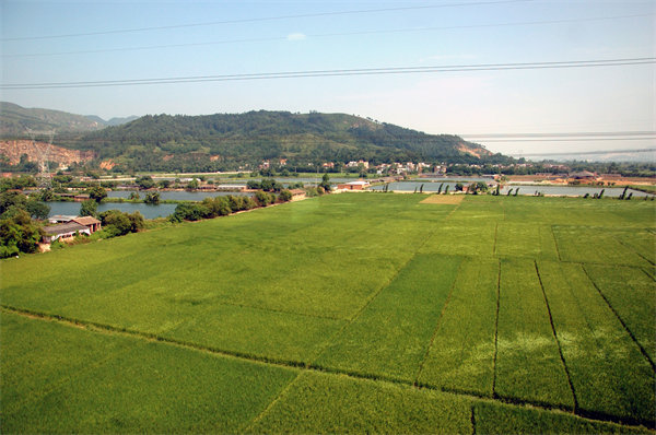 管理咨詢?nèi)绾沃η暹h企業(yè)解決發(fā)展難題？