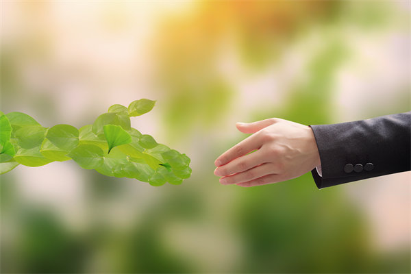 可持續(xù)發(fā)展成為趨勢，企業(yè)如何融入綠色戰(zhàn)略以促增長？