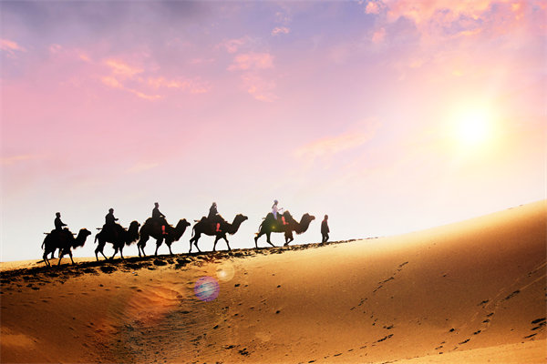 企業(yè)文化在人力資源管理中，扮演著怎樣的角色？