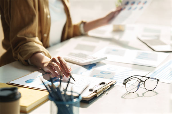 在預(yù)算執(zhí)行中，如何確保監(jiān)控與調(diào)整機(jī)制的有效性？