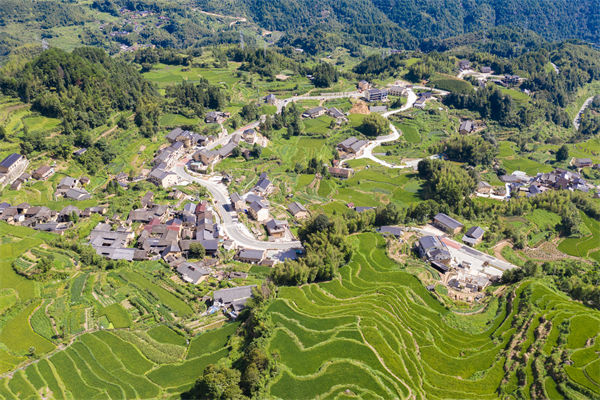 企業(yè)薪酬激勵乏力，麗水薪酬咨詢公司如何激發(fā)員工積極性？