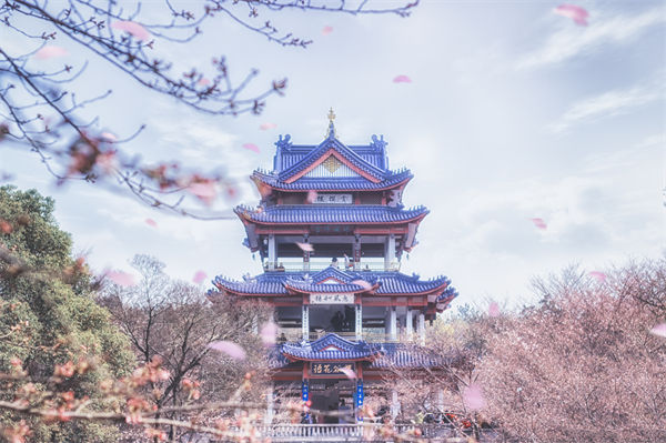 供應(yīng)鏈成本居高不下，無錫供應(yīng)鏈咨詢公司如何精準(zhǔn)砍出利潤空間？