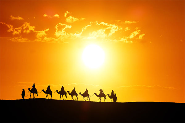 高層標榜的企業(yè)文化，如何穿透形式真正落地生根？