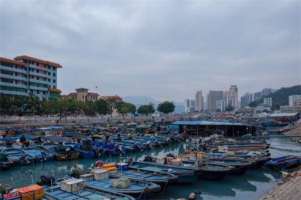 精益生產(chǎn)分析：開海第一網(wǎng)撈8000斤，船長合不攏嘴